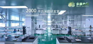 多美生物 技術(shù)賦能，實(shí)現(xiàn)“今日下單，明日出貨”的極致效率